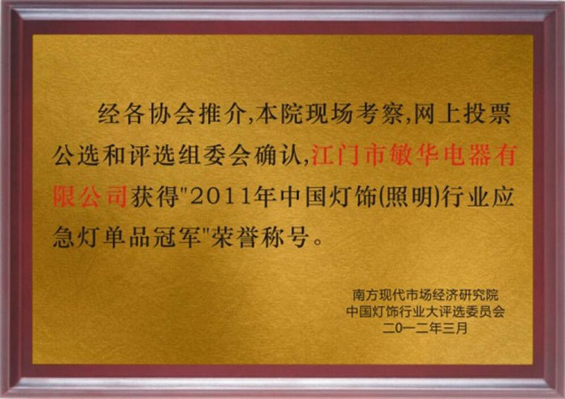 2011年中国灯饰行业应急单品冠军